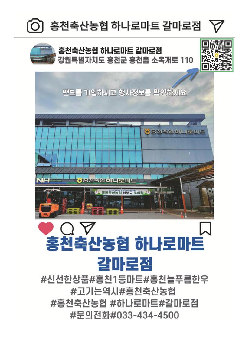 홍천사랑 20페이지