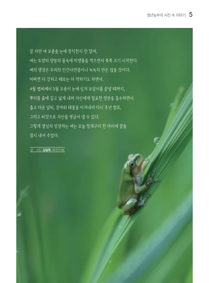 두레이음 49호 5페이지