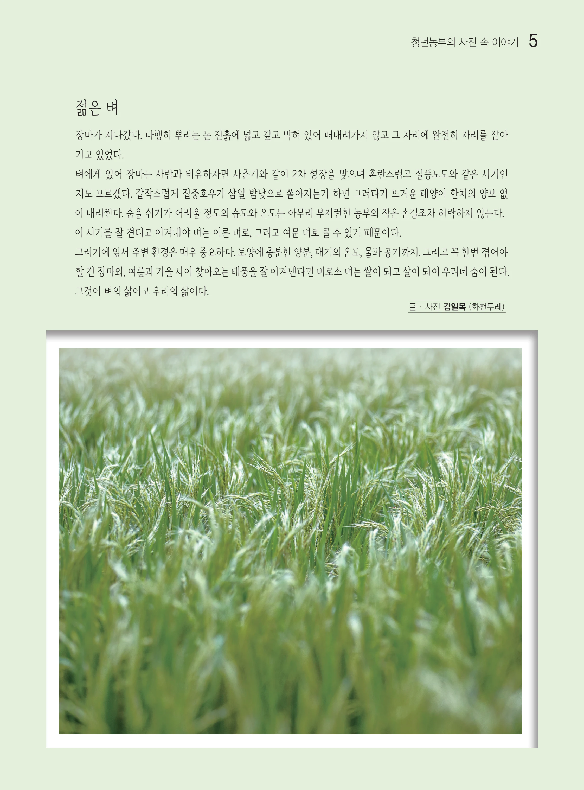 두레이음50호 5페이지