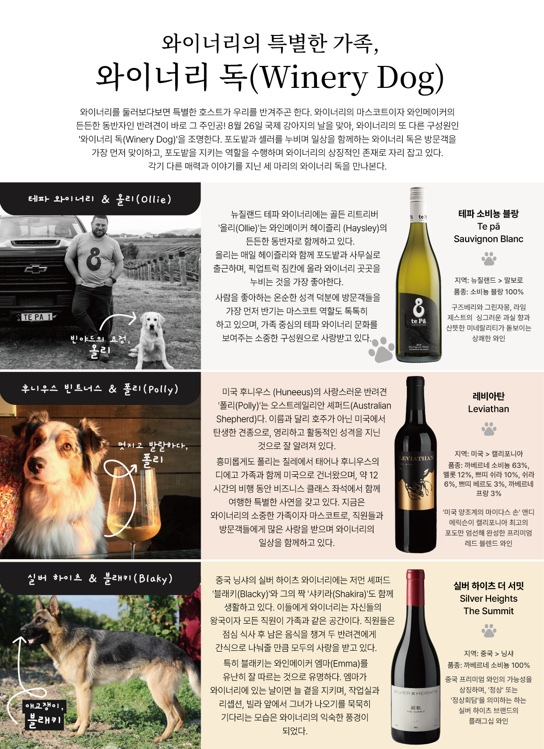 2026.08 동원 와인 타임즈 6페이지